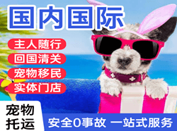 运城航空物流国际宠物托运 【国